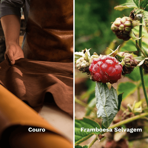 Óleo de Barba Iron Horse 50ml 9