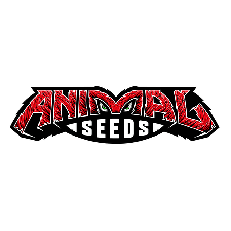 African King Jungle Version - 5 Semillas Fem | Animal Seeds ®