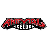 Green Dog - Jungle Version  - 3 Semillas Fem | Animal Seeds ®
