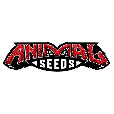 Camaleón Cookies - Jungle Version - 10 Semillas Fem | Animal Seeds ®