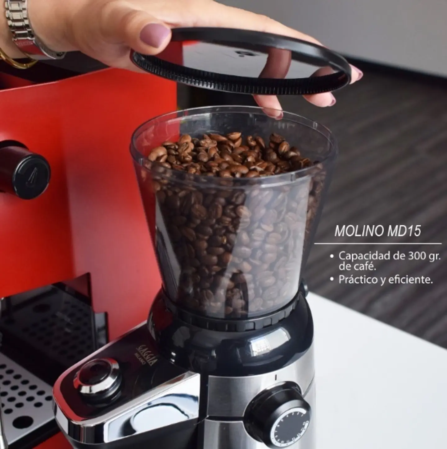 Gaggia - Molino MD 15 2