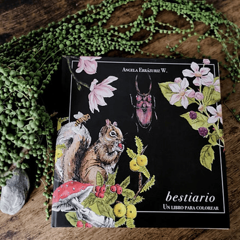 LIBRO BESTIARIO POR ANGELA ERRAZURIZ