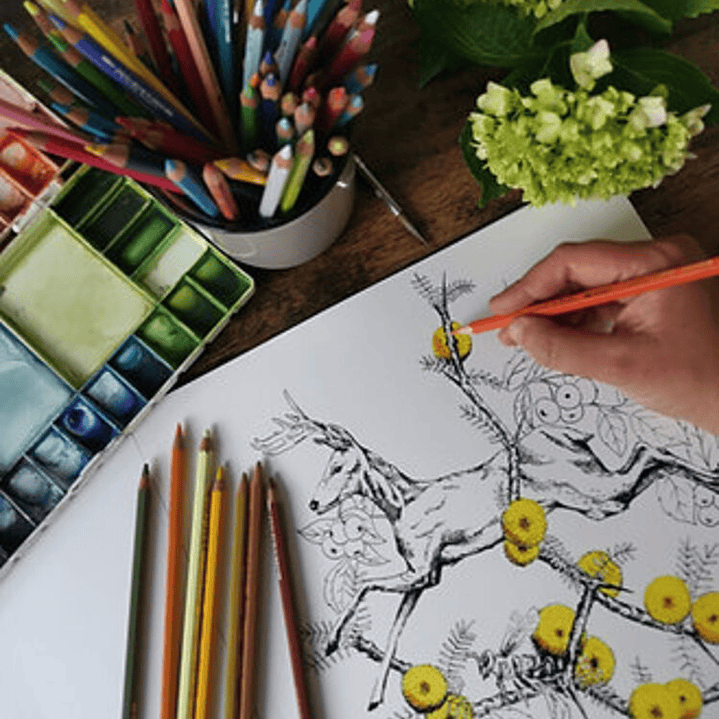 LIBRO BESTIARIO POR ANGELA ERRAZURIZ 3