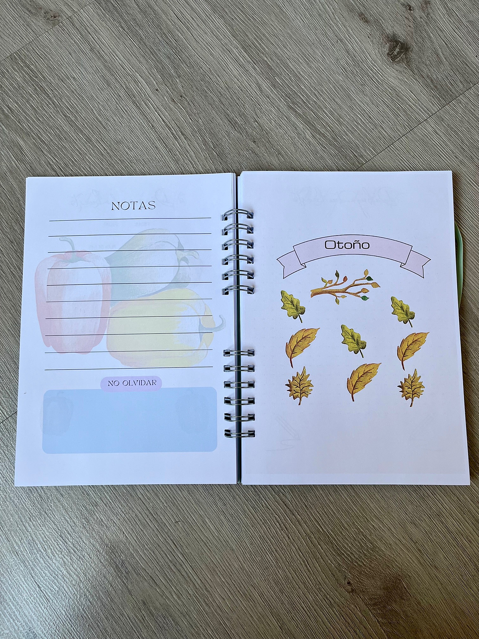 DIARIO DE HUERTO INGRID PAREJA 4