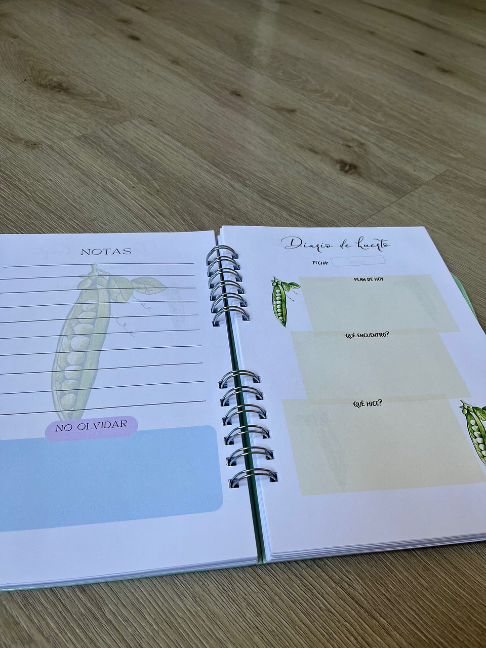 DIARIO DE HUERTO INGRID PAREJA 5