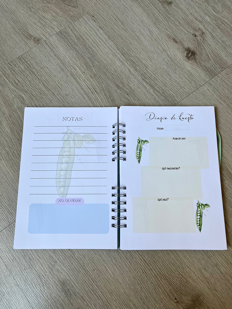 DIARIO DE HUERTO INGRID PAREJA 6