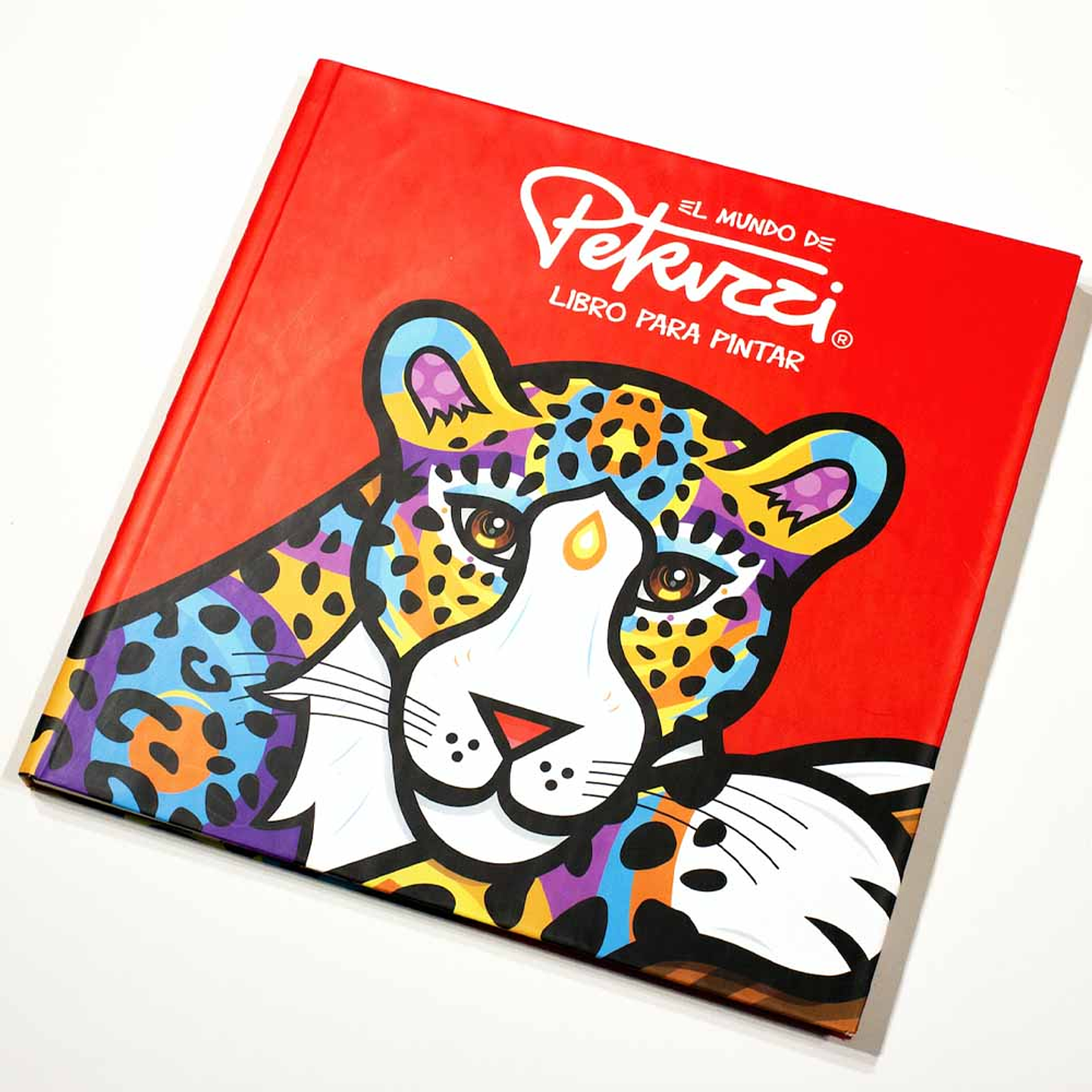 LIBRO EL MUNDO DE PETRUZZI 1