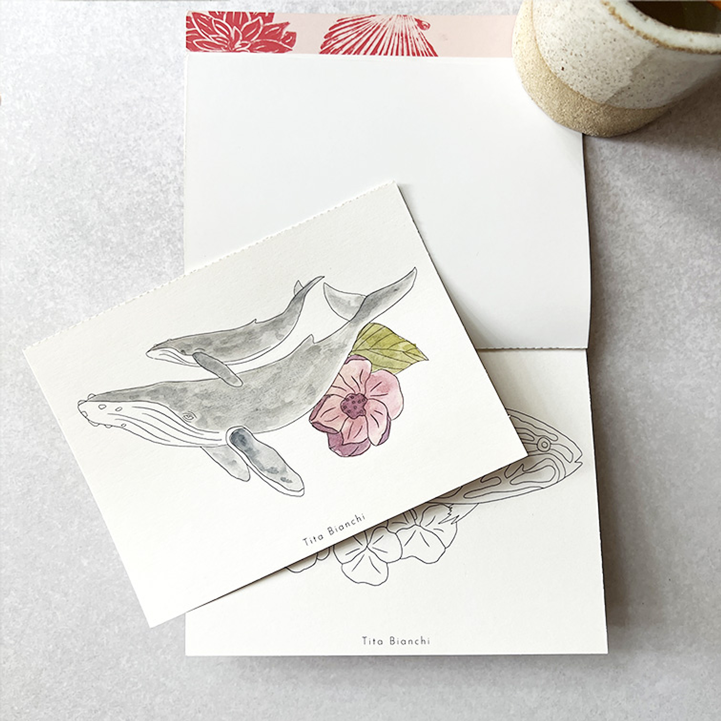 LIBRO DE VIAJE TITA BIANCHI MAR BOTÁNICO 2