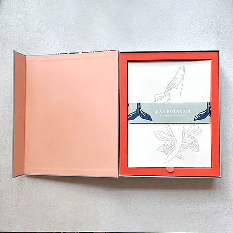 CAJA CREATIVA TITA BIANCHI MAR BOTÁNICO