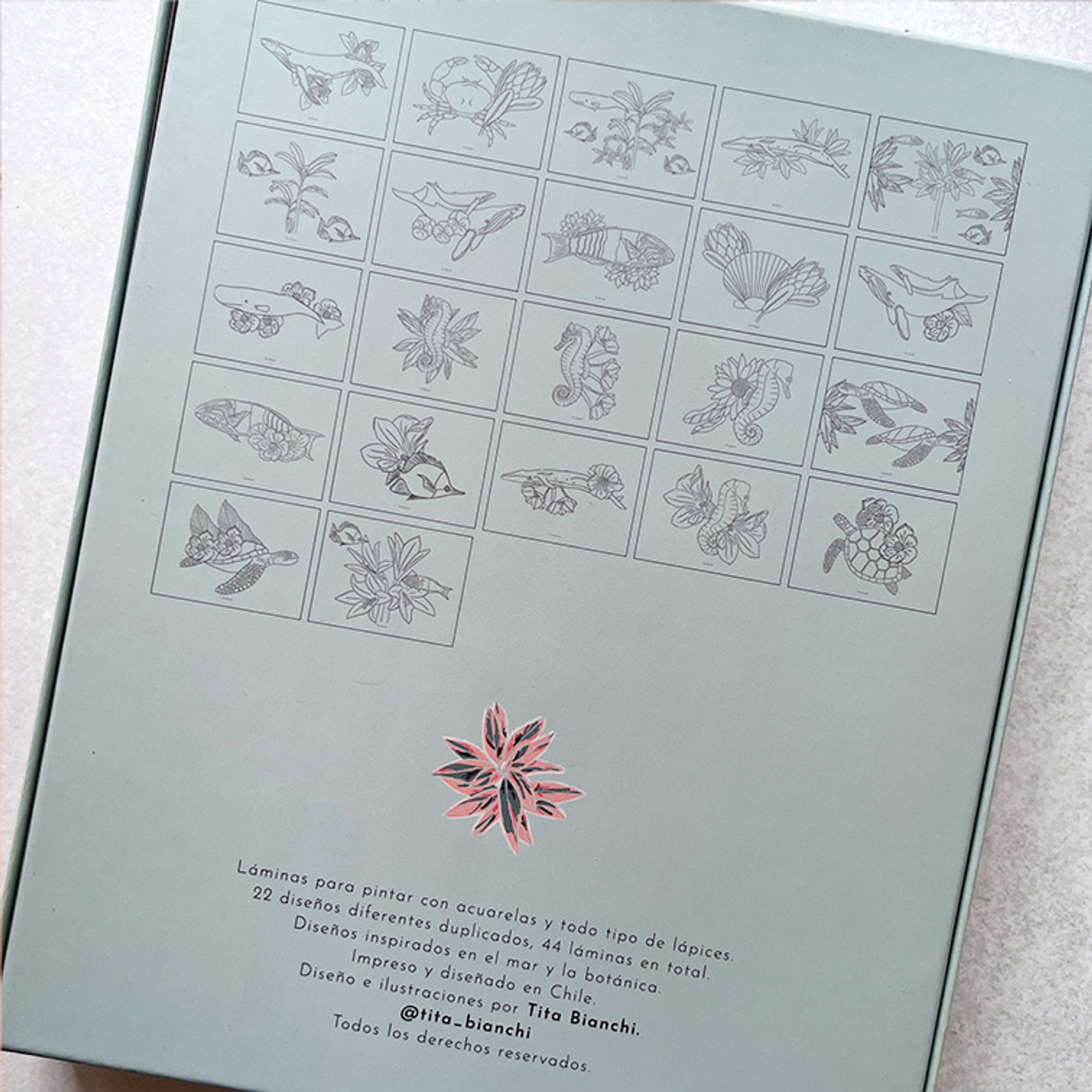 CAJA CREATIVA TITA BIANCHI MAR BOTÁNICO 5