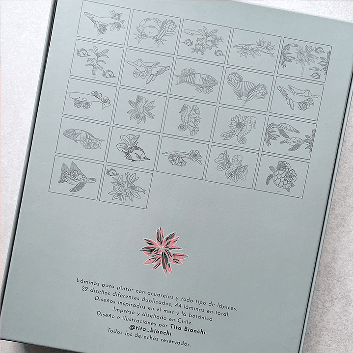 CAJA CREATIVA TITA BIANCHI MAR BOTÁNICO 5