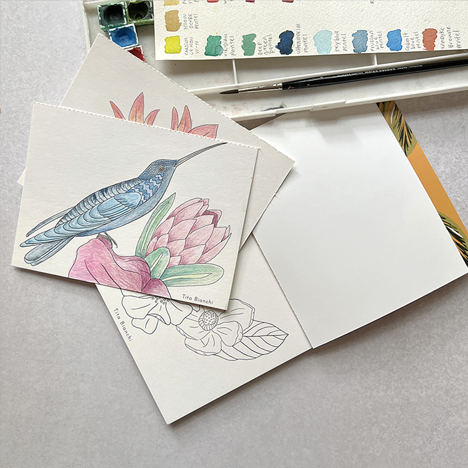 LIBRO DE VIAJE TITA BIANCHI PRIMAVERA 3