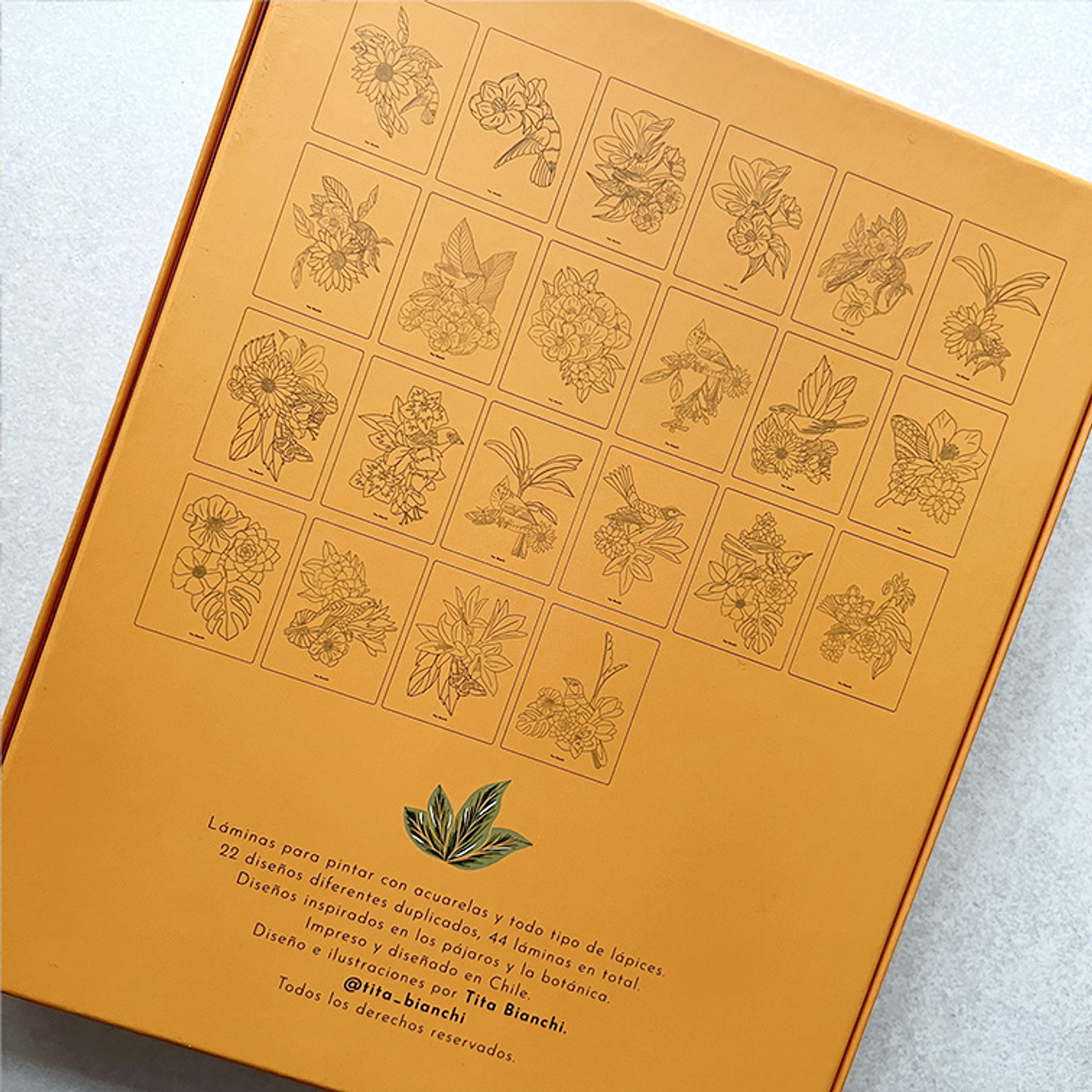 CAJA CREATIVA TITA BIANCHI PRIMAVERA 3