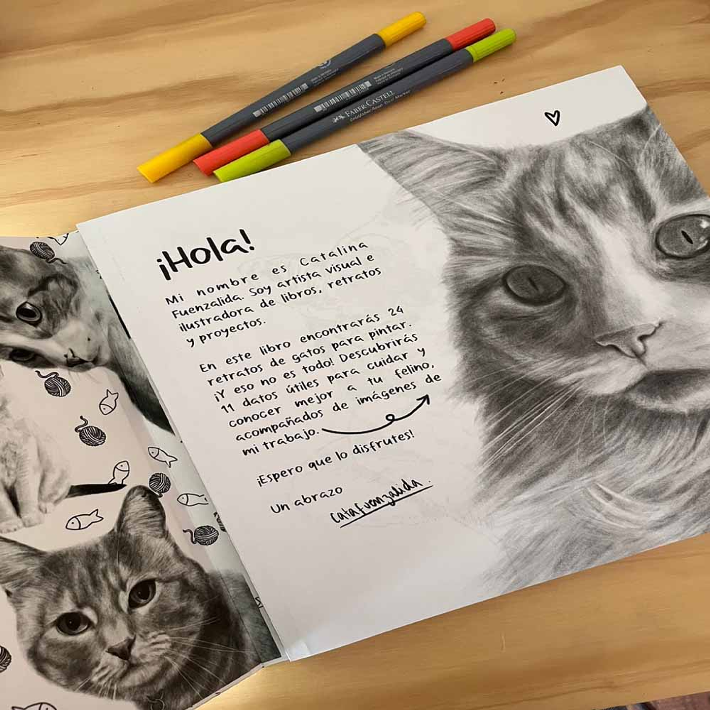 LIBRO GATOS POR CATA FUENZALIDA 4