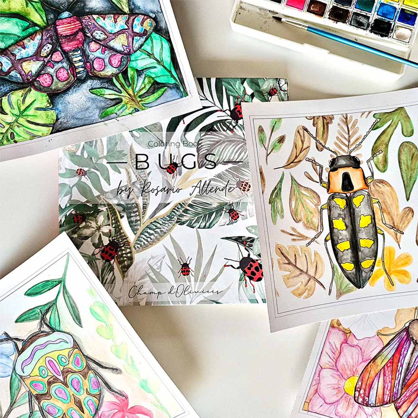 LIBRO COLORING BOOK BUGS ROSARIO ALLENDE 2