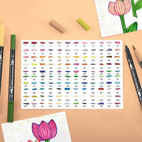 OHUHU MAUI 120 MARCADORES A BASE DE AGUA PINCEL&FINELINER