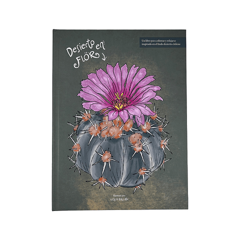 LIBRO DESIERTO EN FLOR POR VERONICA BAZAN