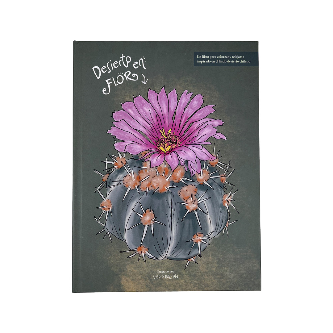 LIBRO DESIERTO EN FLOR POR VERONICA BAZAN 1