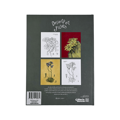 LIBRO DESIERTO EN FLOR POR VERONICA BAZAN