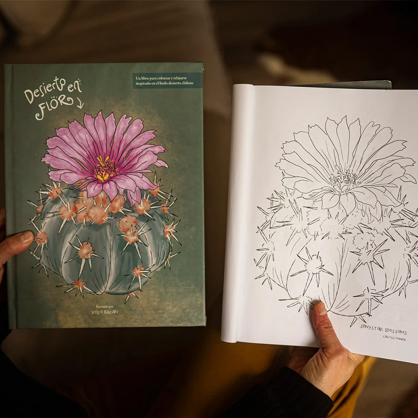 LIBRO DESIERTO EN FLOR POR VERONICA BAZAN 3