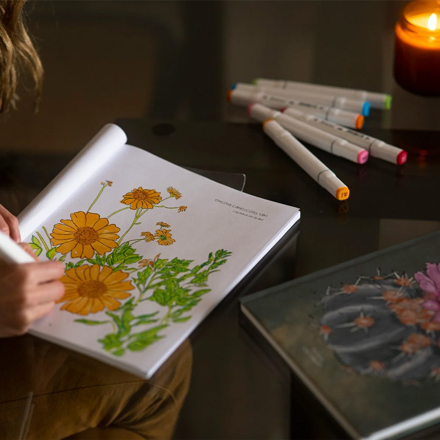 LIBRO DESIERTO EN FLOR POR VERONICA BAZAN 4