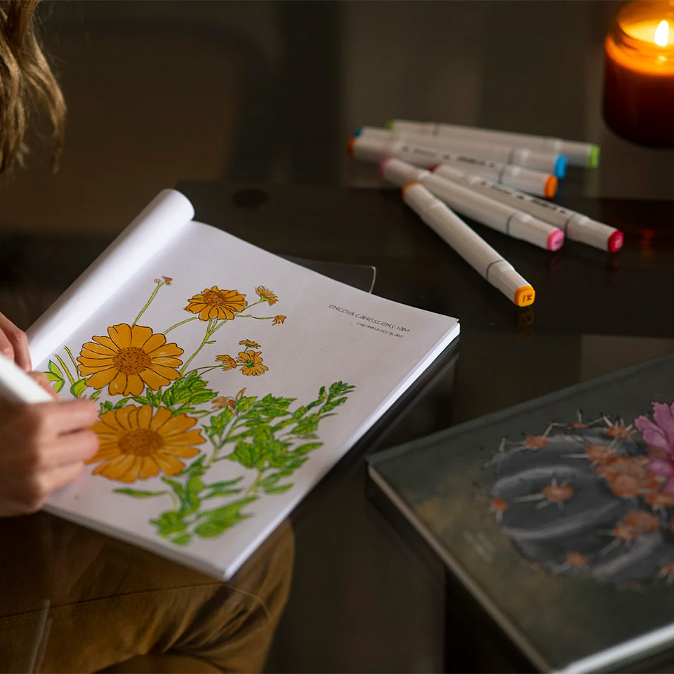 LIBRO DESIERTO EN FLOR POR VERONICA BAZAN 4