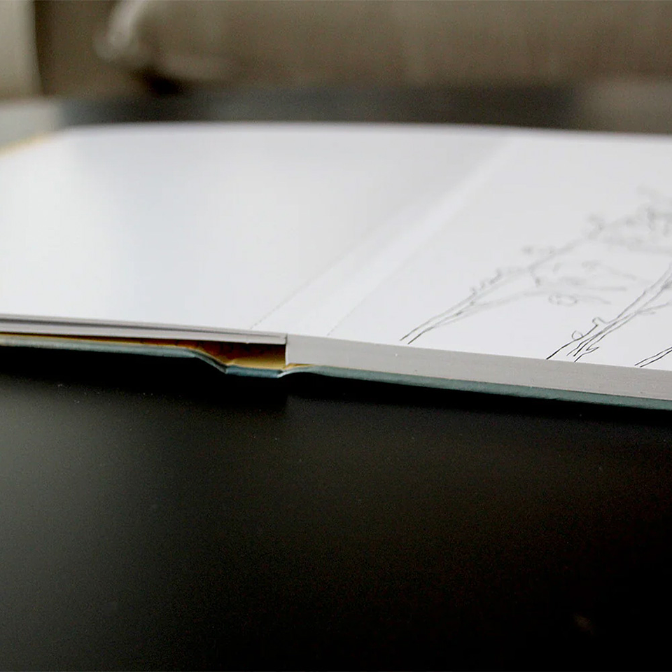 LIBRO DESIERTO EN FLOR POR VERONICA BAZAN 6