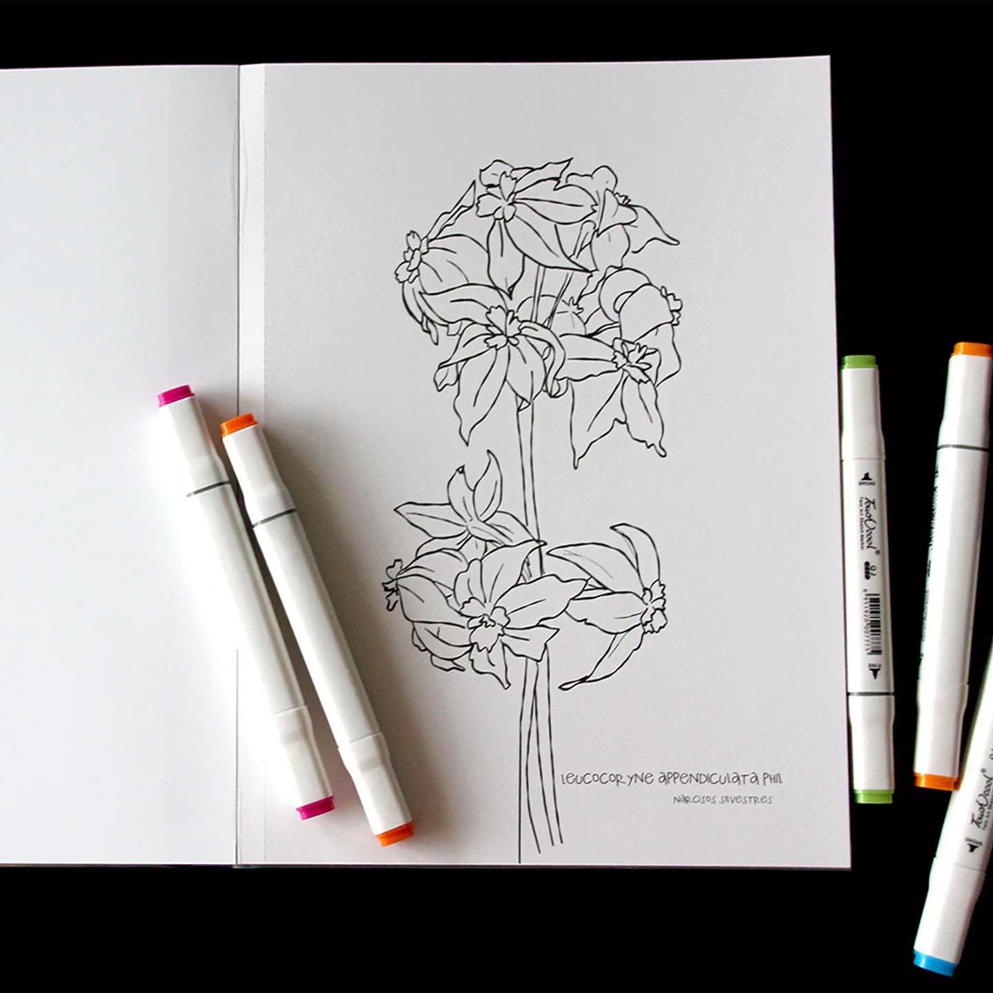 LIBRO DESIERTO EN FLOR POR VERONICA BAZAN 7