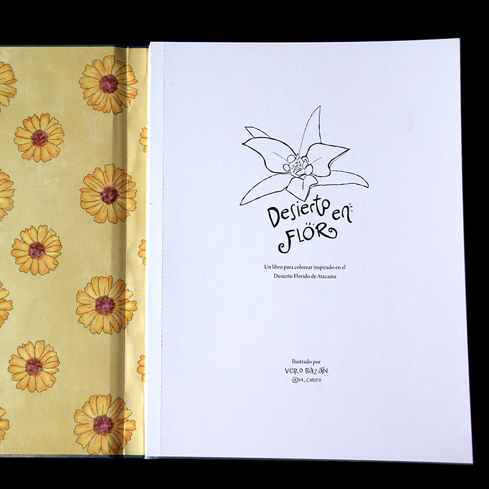 LIBRO DESIERTO EN FLOR POR VERONICA BAZAN 8