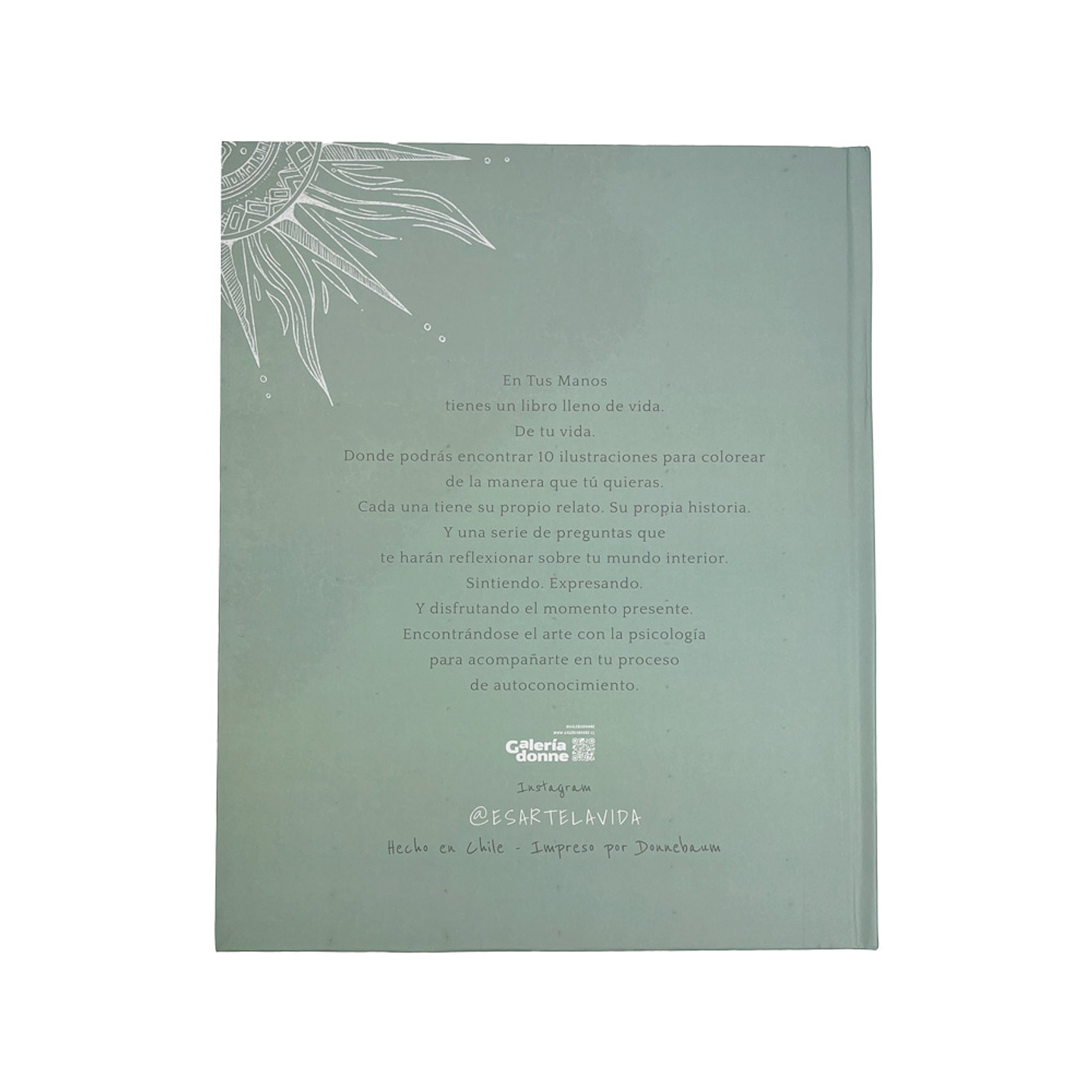 LIBRO EN TUS MANOS POR BERNI HIDALGO 2