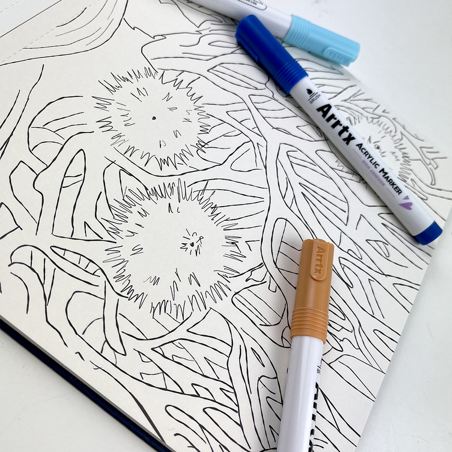 LIBRO MAR DE COLOR POR VERO BAZAN  4