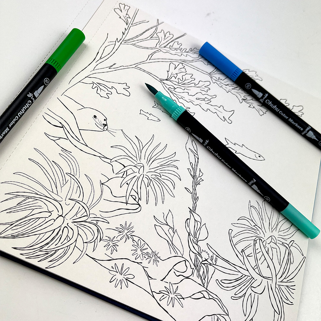 LIBRO MAR DE COLOR POR VERO BAZAN  5