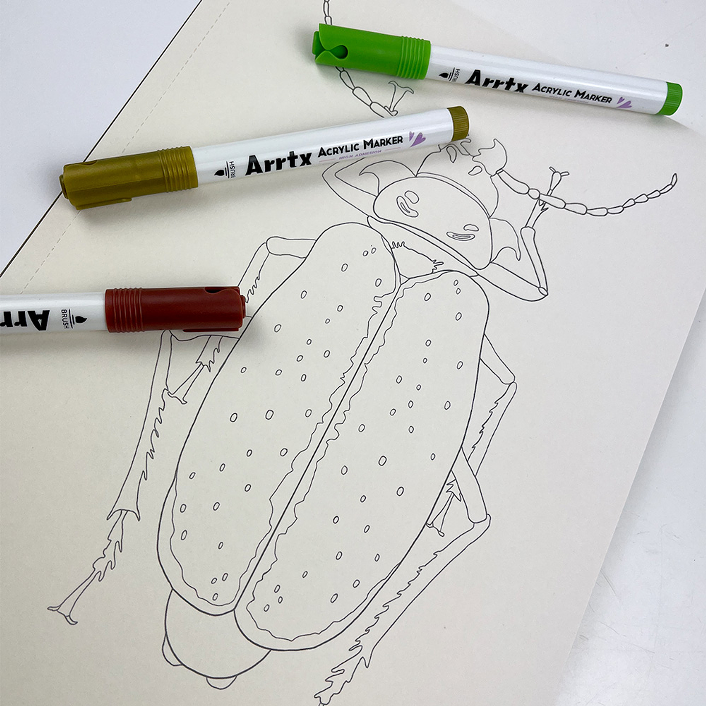 LIBRO FLORA Y FAUNA CHILENA DE VICKY AGUIRRE 3