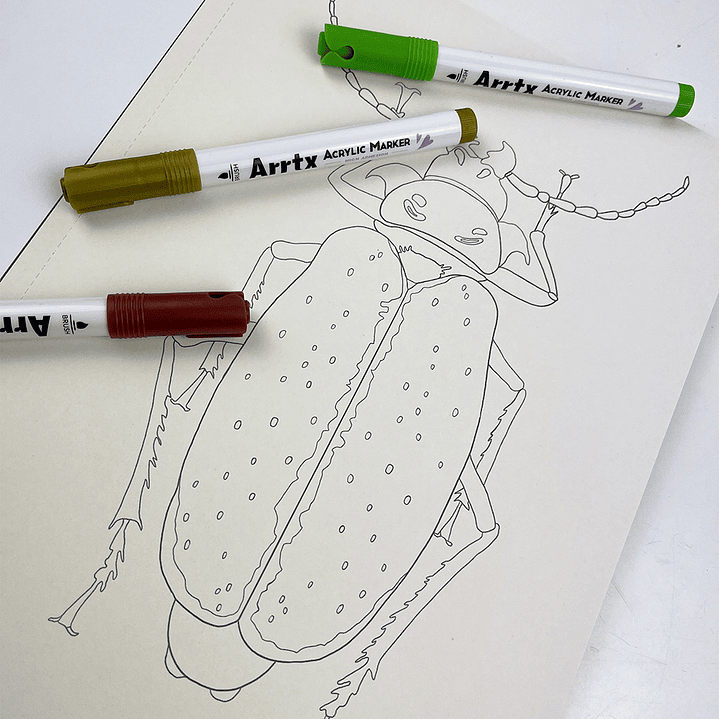 LIBRO FLORA Y FAUNA CHILENA DE VICKY AGUIRRE 3