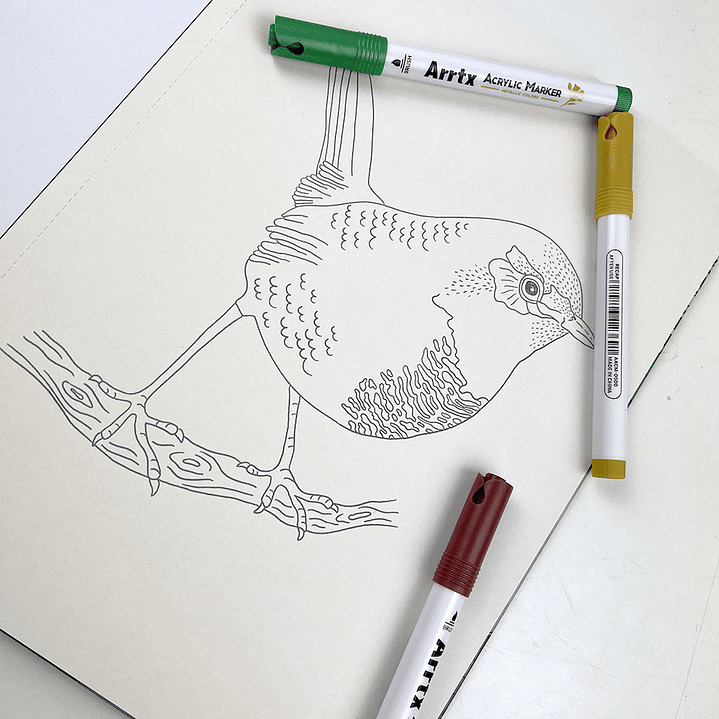 LIBRO FLORA Y FAUNA CHILENA DE VICKY AGUIRRE 4