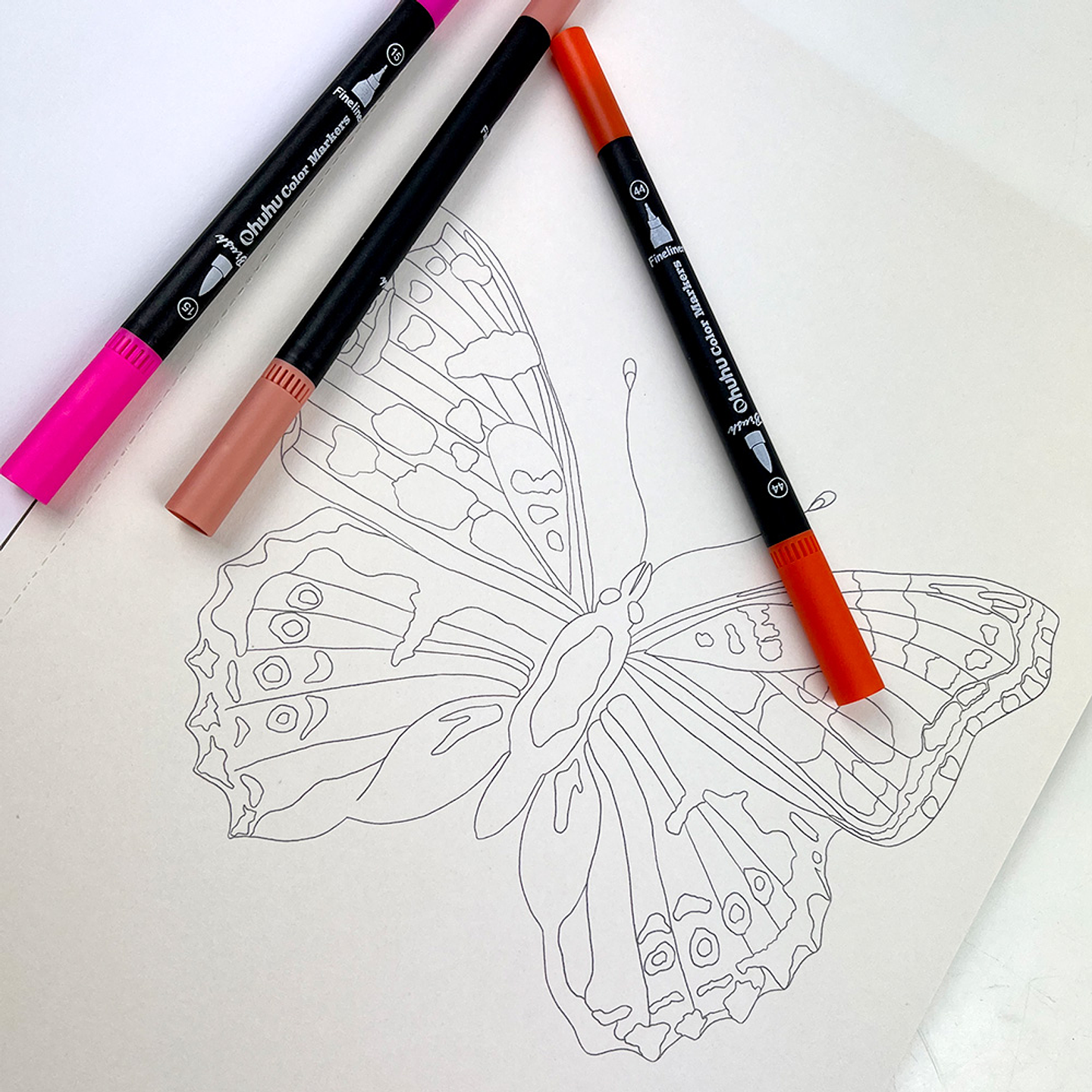 LIBRO FLORA Y FAUNA CHILENA DE VICKY AGUIRRE 5