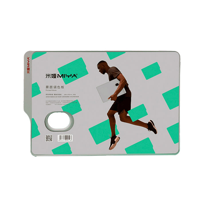 MIYA PALETA DE PINTURA PLÁSTICA 31 x 44 CM 1