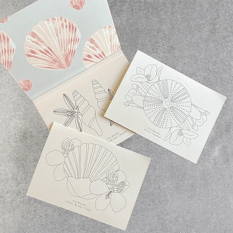 LIBRO DE VIAJE CONCHITAS BOTÁNICAS 