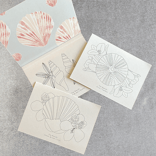 LIBRO DE VIAJE CONCHITAS BOTÁNICAS 