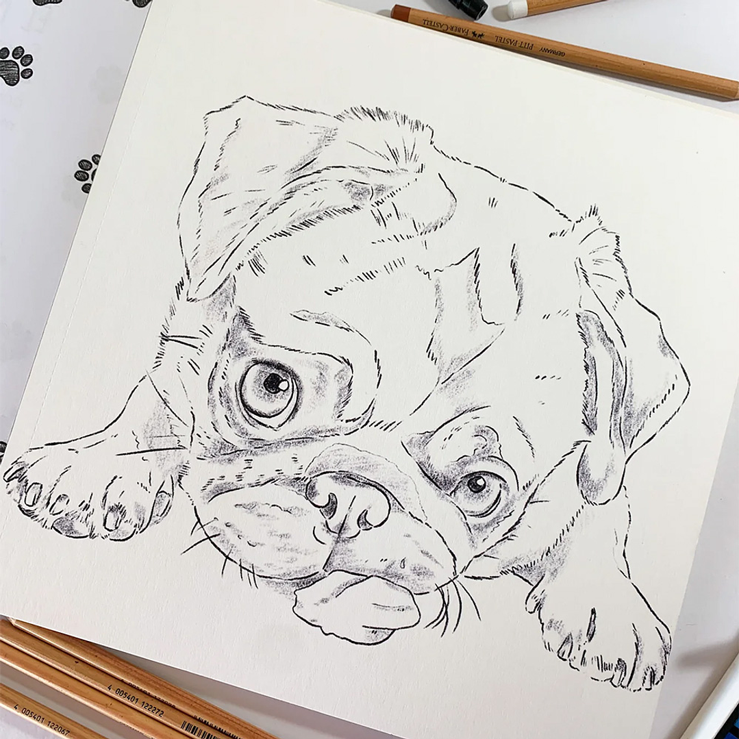 LIBRO PERROS POR CATALINA FUENZALIDA  3