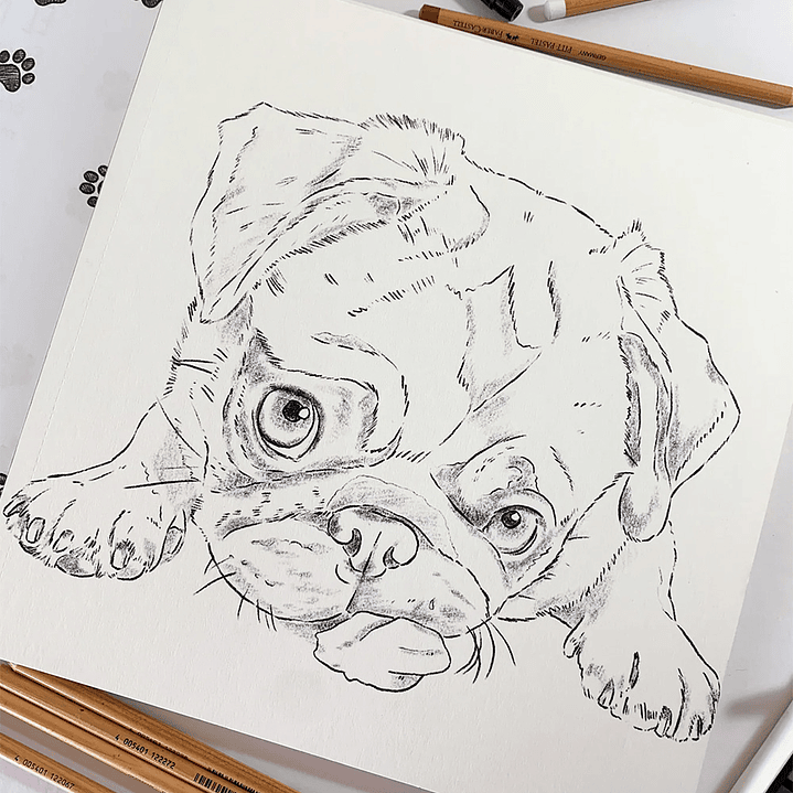 LIBRO PERROS POR CATALINA FUENZALIDA  3