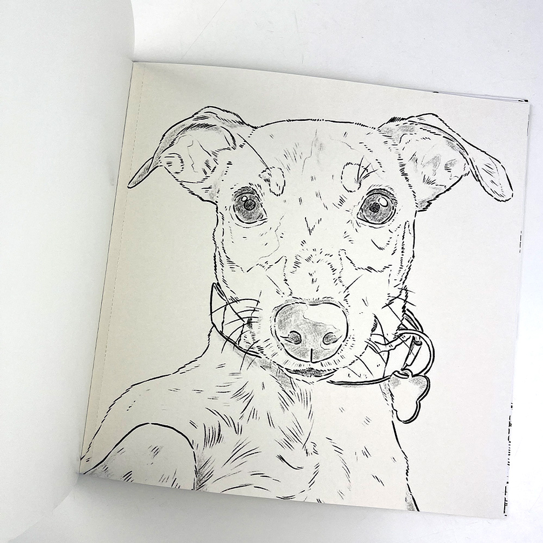 LIBRO PERROS POR CATALINA FUENZALIDA  5