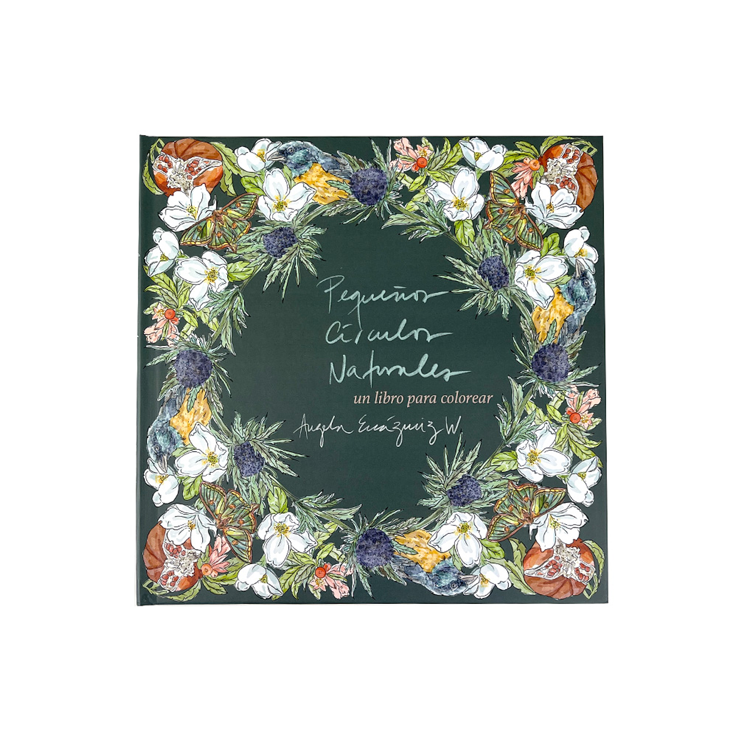 LIBRO PEQUEÑOS CIRCULOS POR ANGELA ERRAZURIZ  1