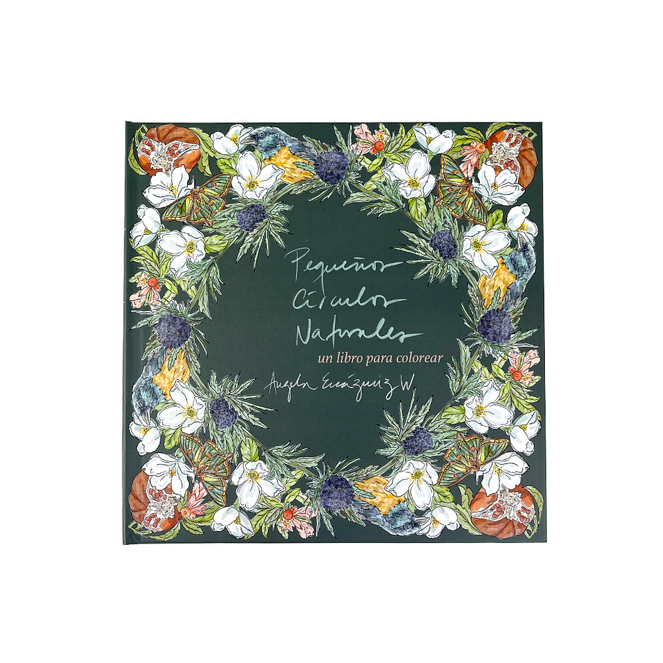 LIBRO PEQUEÑOS CIRCULOS POR ANGELA ERRAZURIZ  1