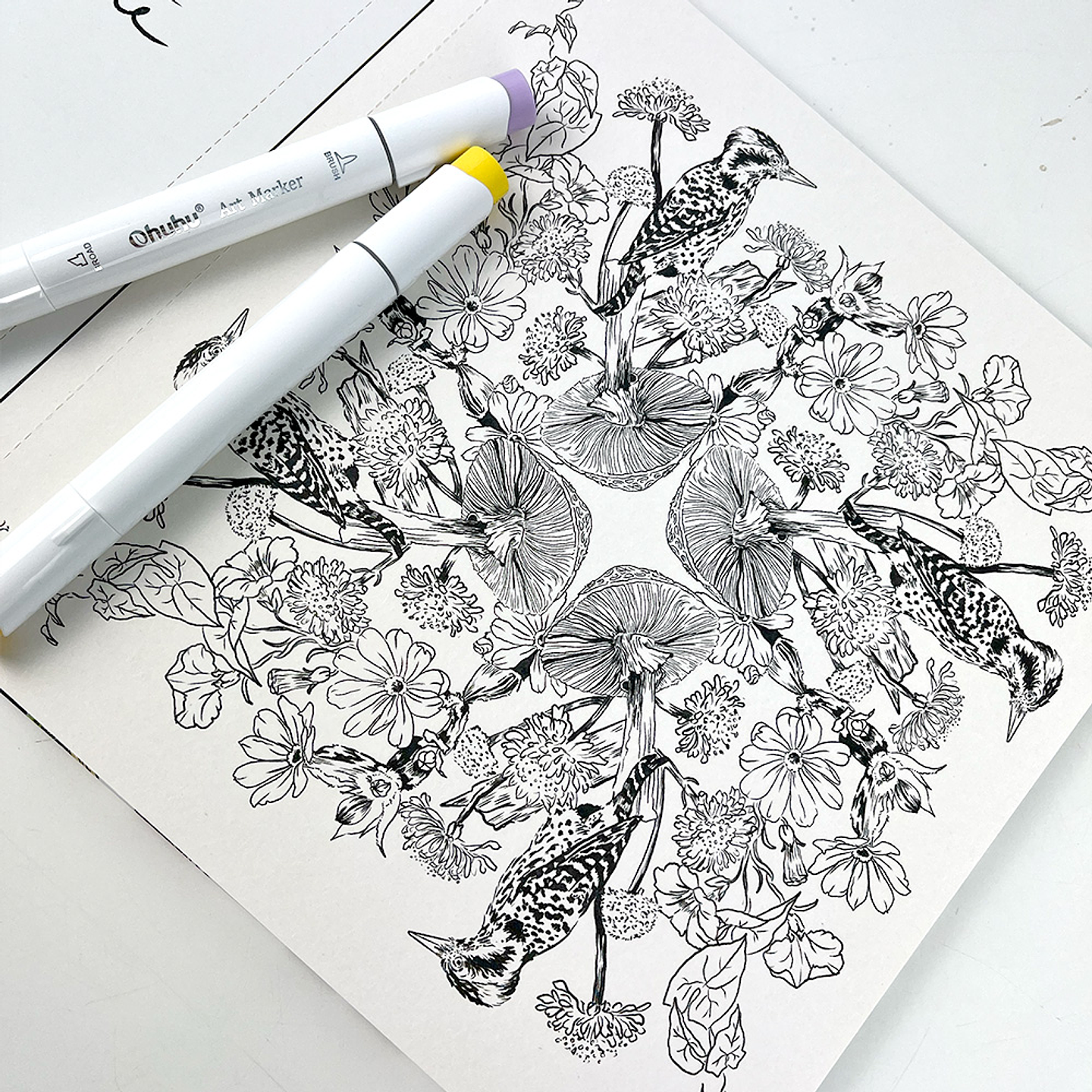 LIBRO PEQUEÑOS CIRCULOS POR ANGELA ERRAZURIZ  3