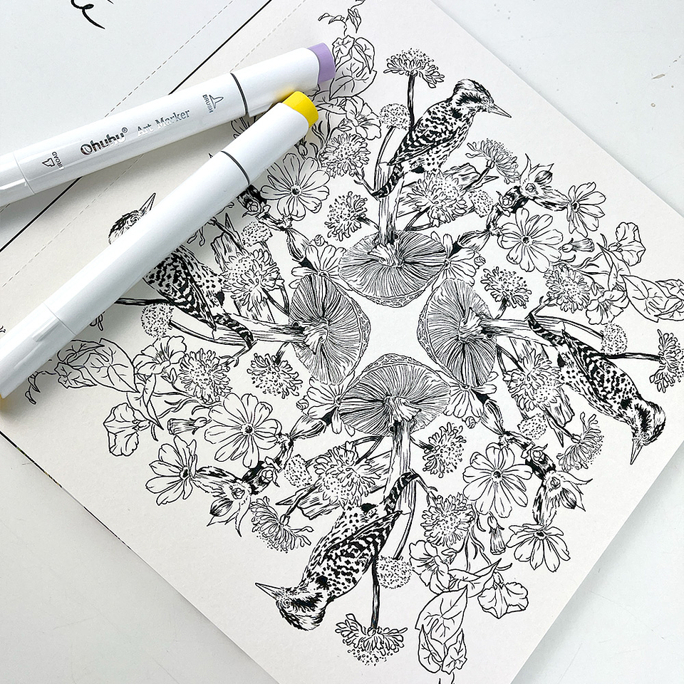 LIBRO PEQUEÑOS CIRCULOS POR ANGELA ERRAZURIZ  3