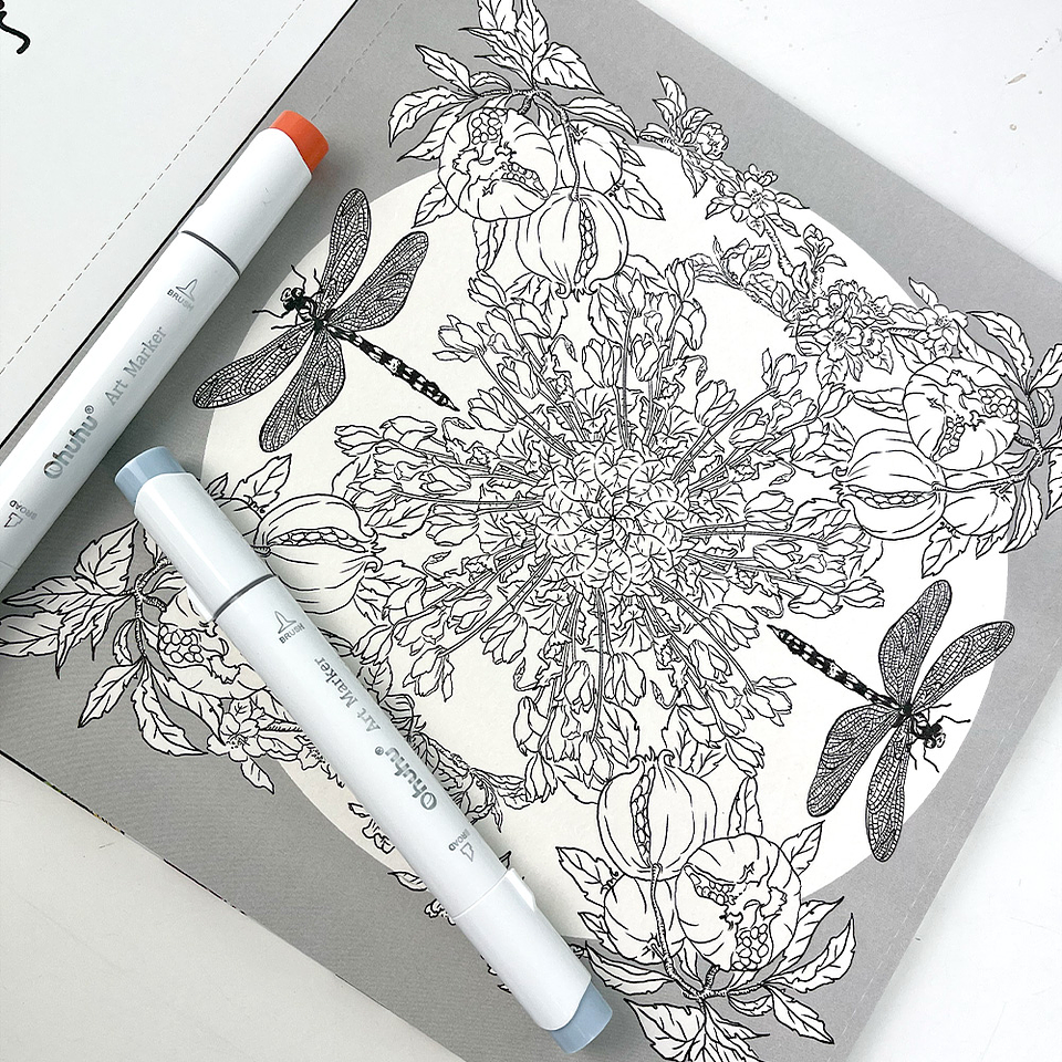 LIBRO PEQUEÑOS CIRCULOS POR ANGELA ERRAZURIZ  4