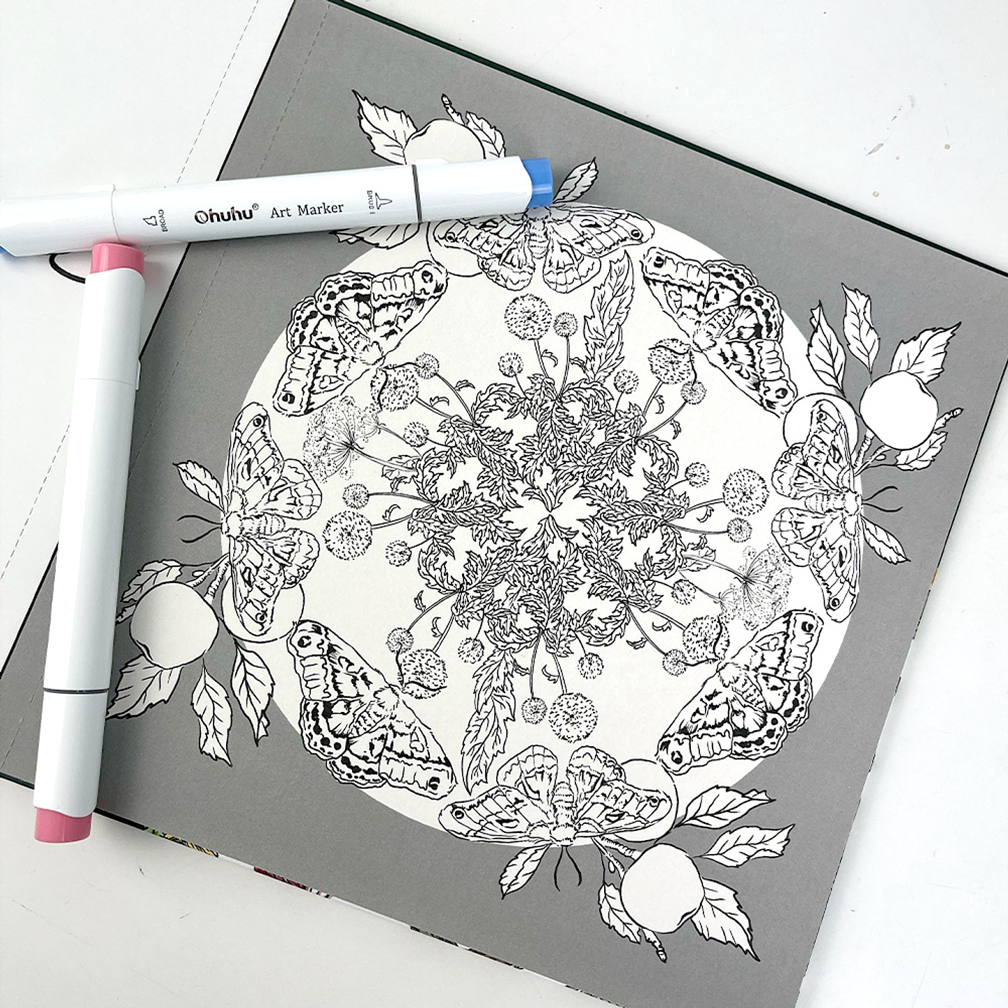 LIBRO PEQUEÑOS CIRCULOS POR ANGELA ERRAZURIZ  5