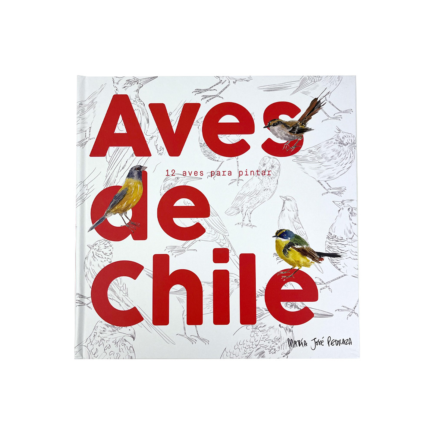 LIBRO AVES DE CHILE POR MARIA JOSÉ PEDRAZA  1