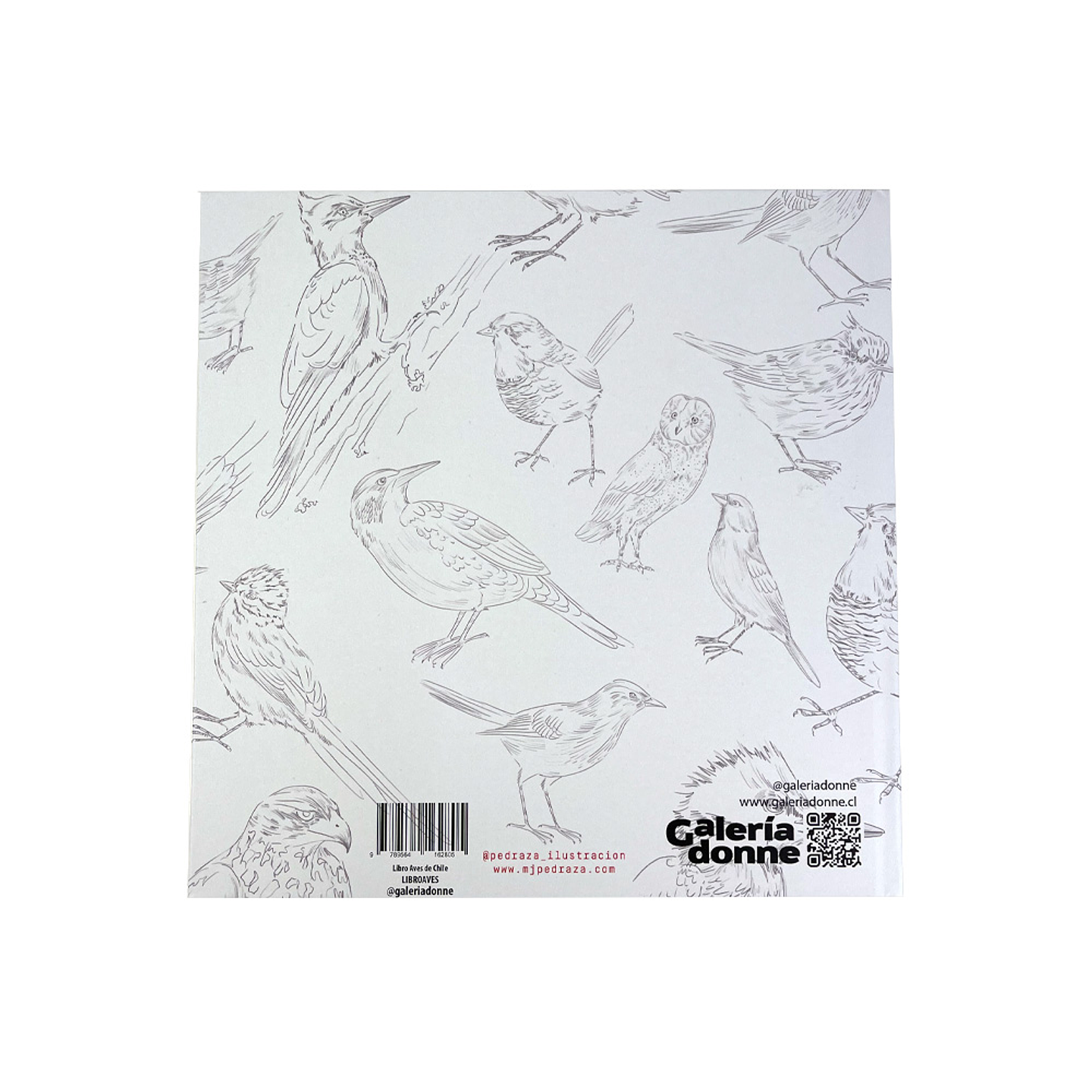 LIBRO AVES DE CHILE POR MARIA JOSÉ PEDRAZA  2